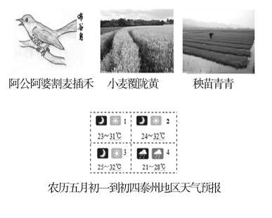 從認(rèn)知維度審視中高考語(yǔ)文命題