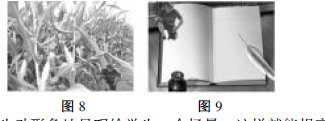 電子白板教學(xué)在美術(shù)教學(xué)中的優(yōu)越性