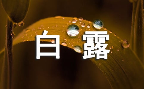 ()ݰ¶(ji)ă(yu)6ƪ