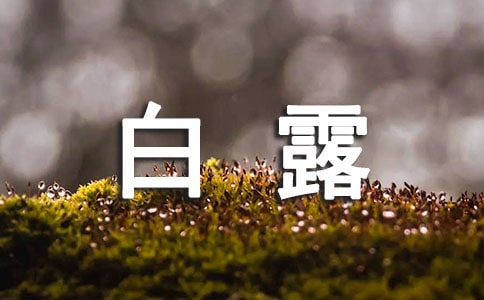 ¶(ji)