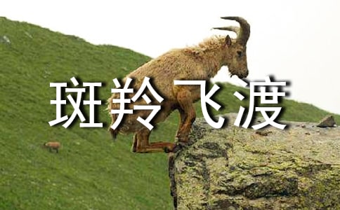 wɡ 19