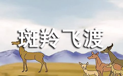 wɡ 9