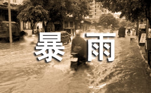 茑ľ