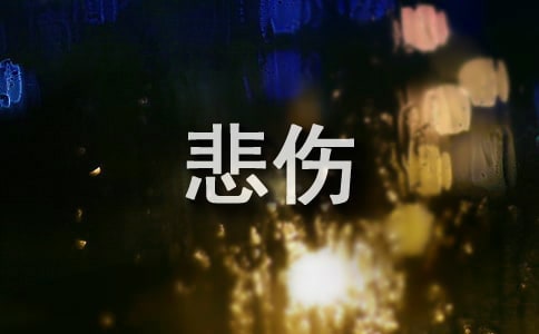 (sh)á2024걯Z\70
