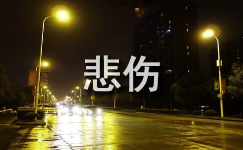 2024꾫xZ䛺ϼ85l