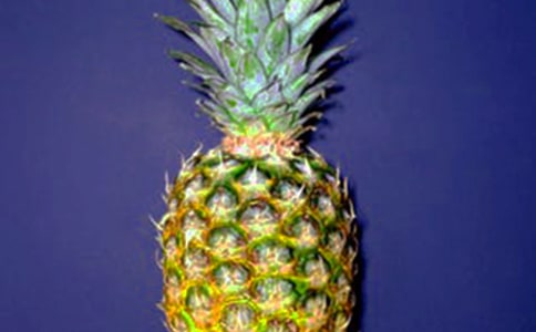 }ĺ
