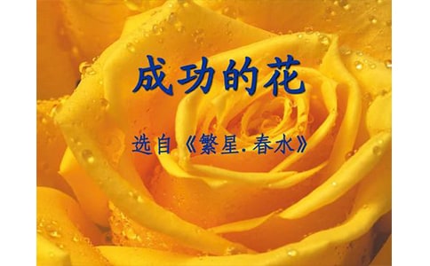 ɹĻ