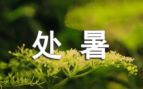 ̎Z(y)250