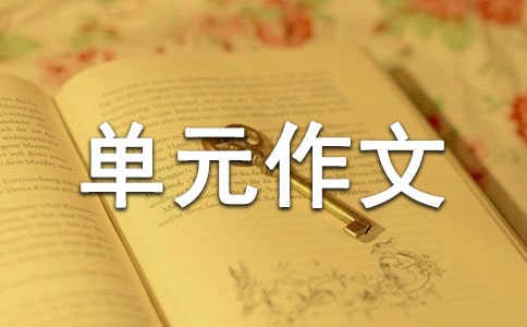(sh)á꼉(j)Ԫ8ƪ