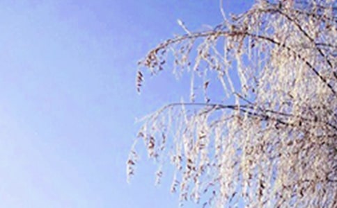 Ґ۶СW(xu)ąR5ƪ