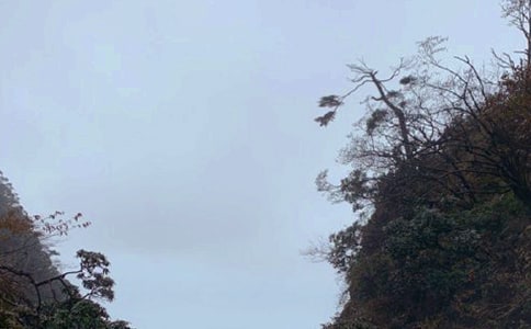 üɽ¸衷