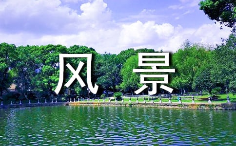 L(fng)Ԓ}(15ƪ)