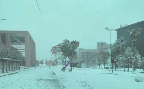 L(fng)ѩа