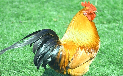 öĹu\15ƪ