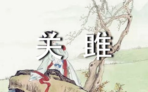 Z P(gun)¡硷ۡ