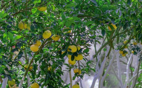 @D(zhun)׌ͬϼ15ƪ