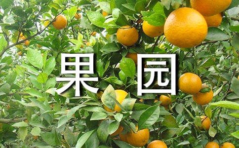 @(yu)4ƪϡ