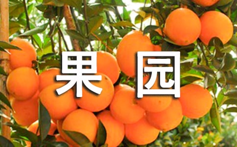 @(yu)8ƪ