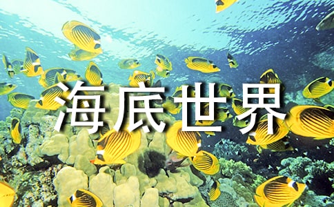 硷꼉(j)Z(y)Ľ̰