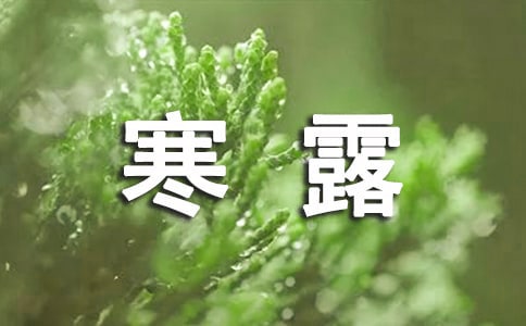 ¶(jng)