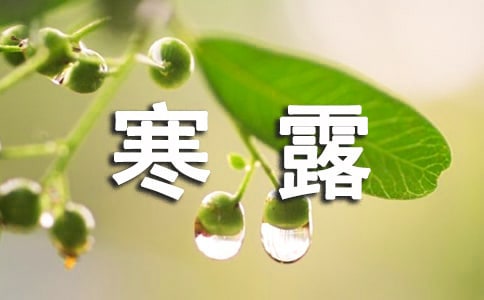 茑¶(ji)ľ