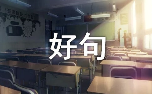 þ