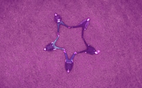 Aҵĺ