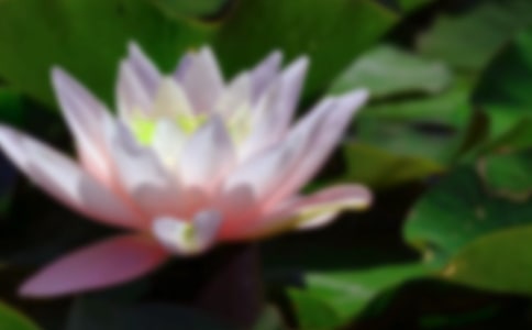 ĺɻġ᡿