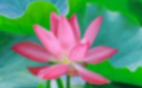 ᣩɻ(yu)14ƪ