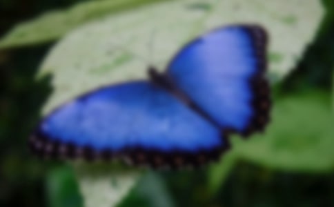 Ĺ