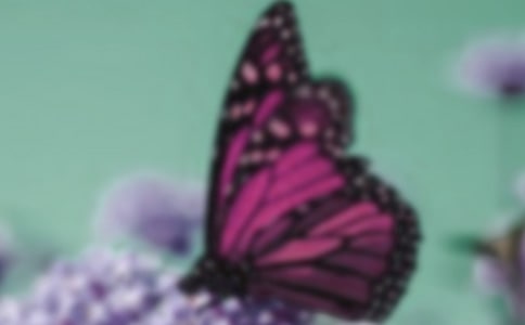 2023ݺľ22