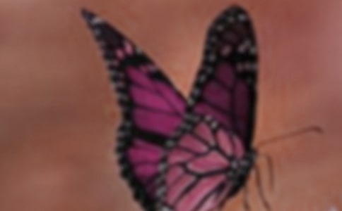 2024ݺľ22l