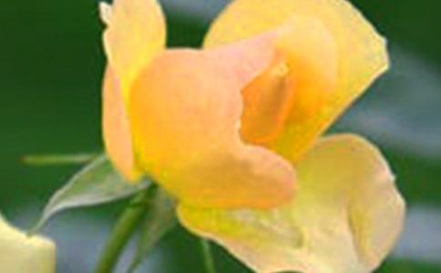 (jng)仨䃞(yu)Ӽ38