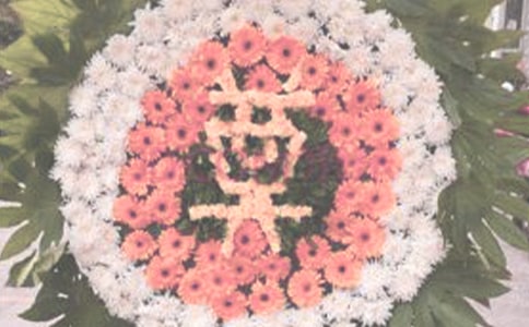 샞(yu)