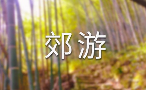 ε15ƪ(jng)䣩
