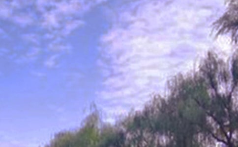 ļɫă(yu)ģx10ƪ