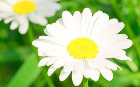 (x)ջ15ƪ