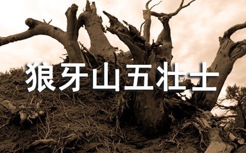 ɽʿ ֮