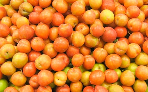 ժӵ
