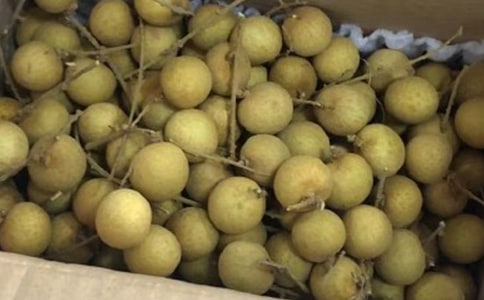 茑ۘă(yu)