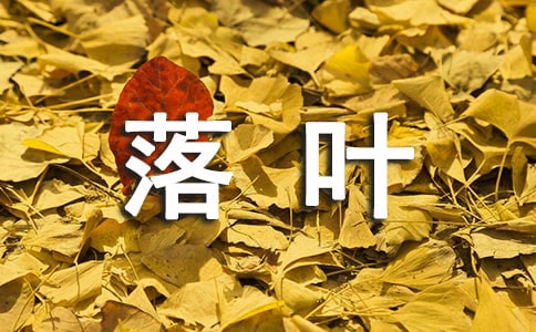 2023ʧ~Z䛺ϼ46