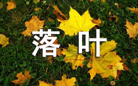 2024꾫x~ľ20l