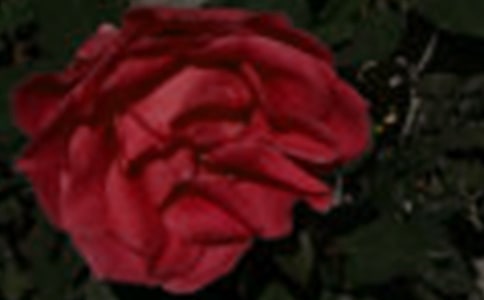 õ廨СW(xu)ģx3ƪ