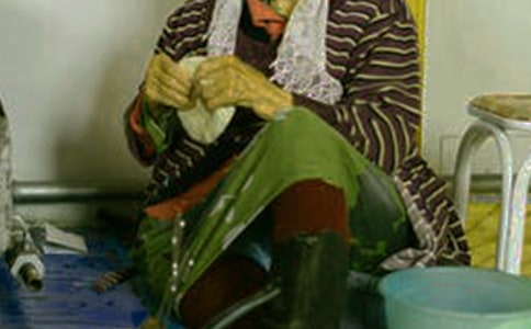 蒙古族風(fēng)俗作文