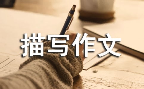 茑(xi)Č(xi)