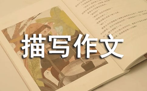 Ф茑600