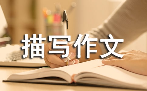 茑350