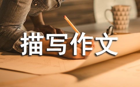 P(gun)ڳ茑(xi)ĺϼƪ