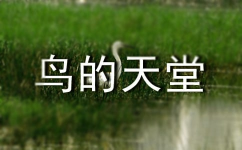 СW(xu)ZġBáĽ̰(\14ƪ)
