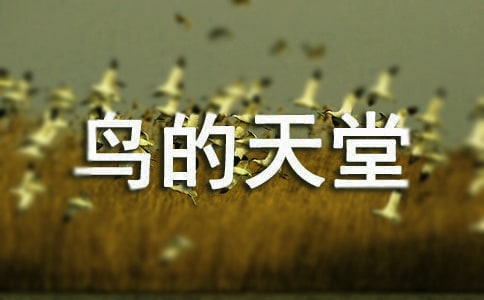 꼉ZġBá̰\9ƪ